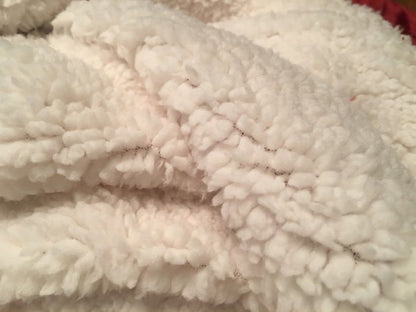 Alpha Epsilon Pi Sherpa Lined Blanket