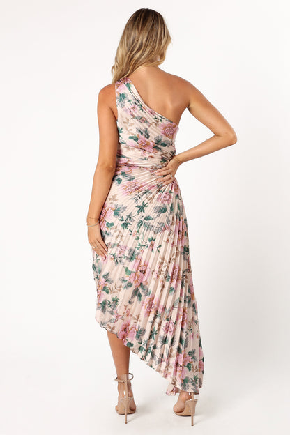 Kleo One Shoulder Maxi Dress - Pink Floral