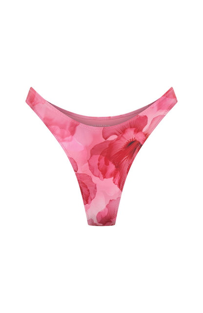 Stacie Bottoms Sugar Rose